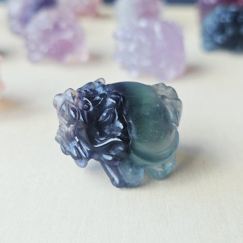 Rainbow Fluorite Dragon Turtles | Banded Light Guardians