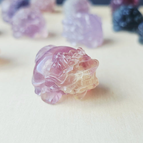 Rainbow Fluorite Dragon Turtles | Banded Light Guardians