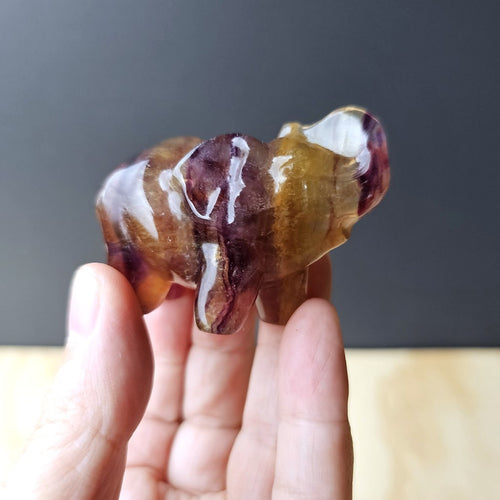Rainbow Fluorite Elephant | Carving