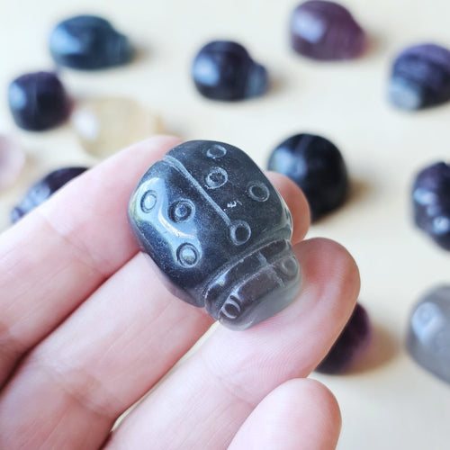 Rainbow Fluorite Ladybug | The Lucky Ladybirds