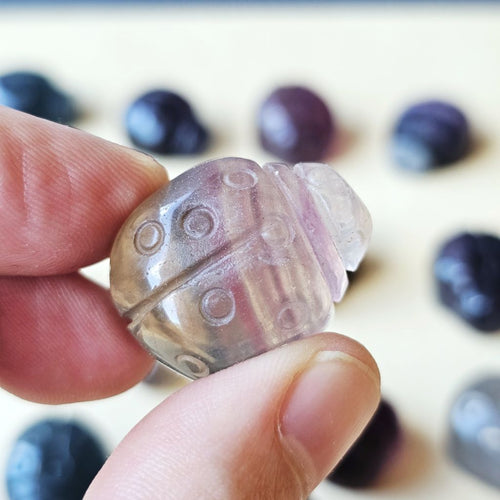Rainbow Fluorite Ladybug | The Lucky Ladybirds