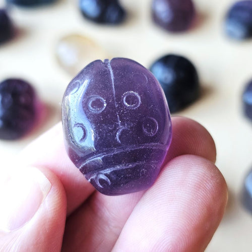 Rainbow Fluorite Ladybug | The Lucky Ladybirds