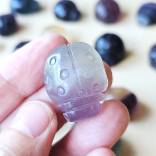 Rainbow Fluorite Ladybug | The Lucky Ladybirds