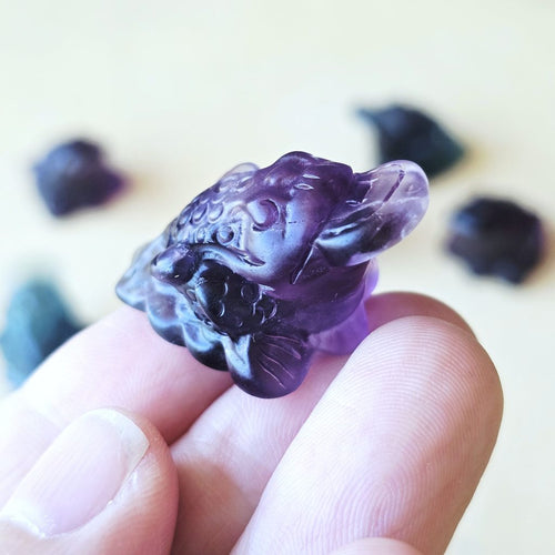 Rainbow Fluorite Money Toad | Fluorite Fortune Toad