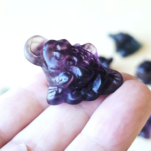 Rainbow Fluorite Money Toad | Fluorite Fortune Toad