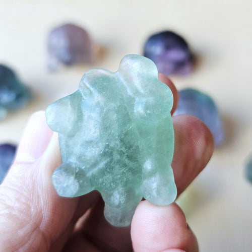 Rainbow Fluorite Tortoises | The Calm Travellers