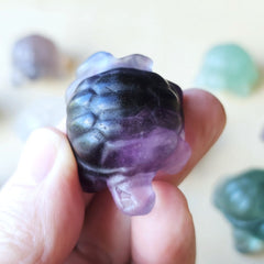 Rainbow Fluorite Tortoises | The Calm Travellers