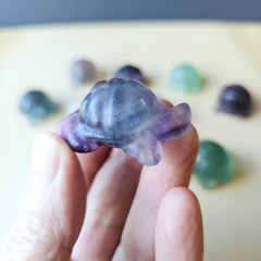 Rainbow Fluorite Tortoises | The Calm Travellers