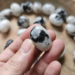 Rainbow Moonstone Tumbled Stones