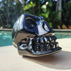 Rainbow Obsidian Skull | Rainbow Warrior