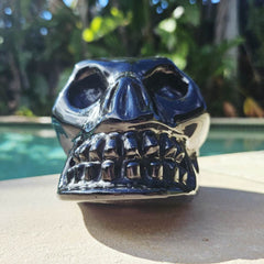Rainbow Obsidian Skull | Rainbow Warrior