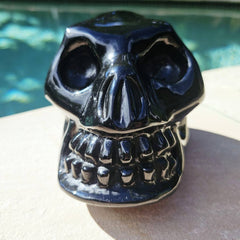 Rainbow Obsidian Skull | Rainbow Warrior