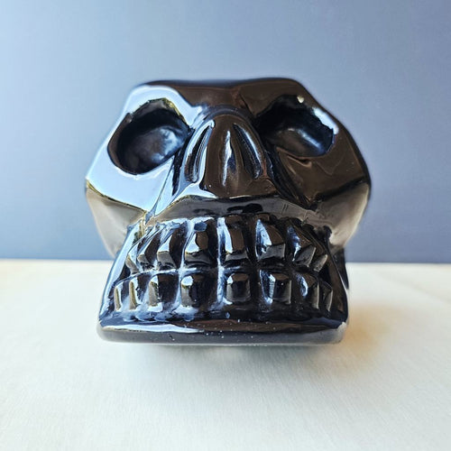 Rainbow Obsidian Skull | Rainbow Warrior
