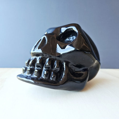 Rainbow Obsidian Skull | Rainbow Warrior