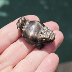 Rainbow Sunstone & Black Moonstone Dragon Turtle | Rainbow Longgui