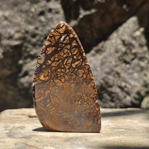 Rare Large Yowah Nut Opal | Freestanding Polished Specimen 490 Cts