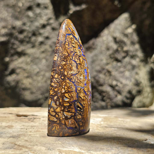 Rare Large Yowah Nut Opal | Freestanding Polished Specimen 490 Cts