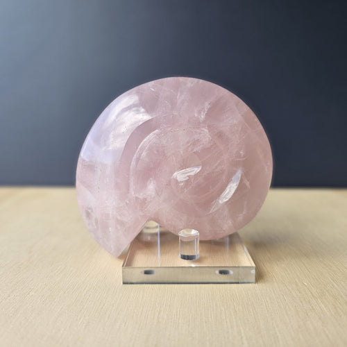 Rose Quartz Ammonite | 297gms