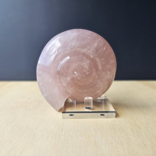 Rose Quartz Ammonite | 371gms