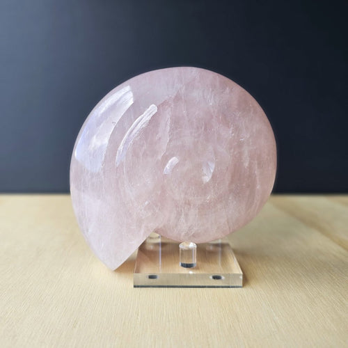Rose Quartz Ammonite | 659gms