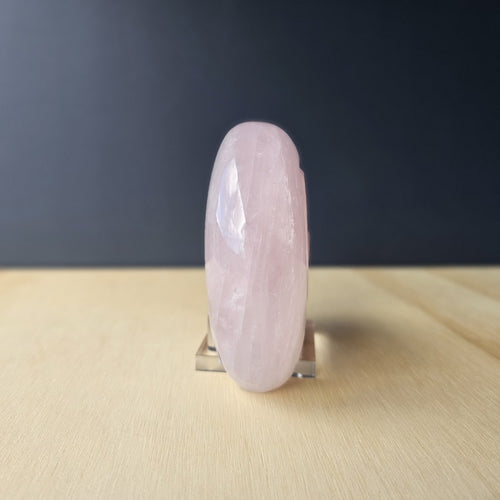 Rose Quartz Ammonite | 659gms