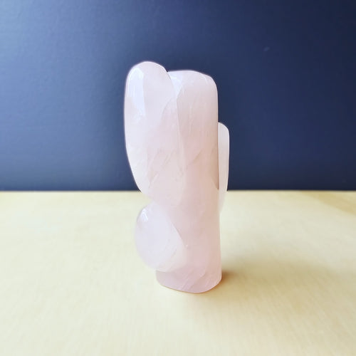 Rose Quartz | Cactus 162gms