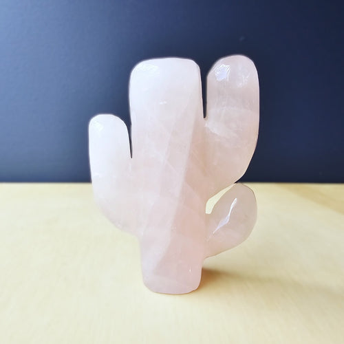 Rose Quartz | Cactus 162gms