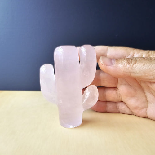 Rose Quartz | Cactus 178gms