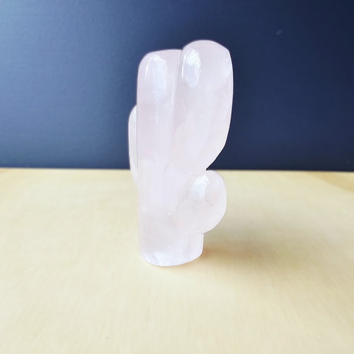 Rose Quartz | Cactus 178gms