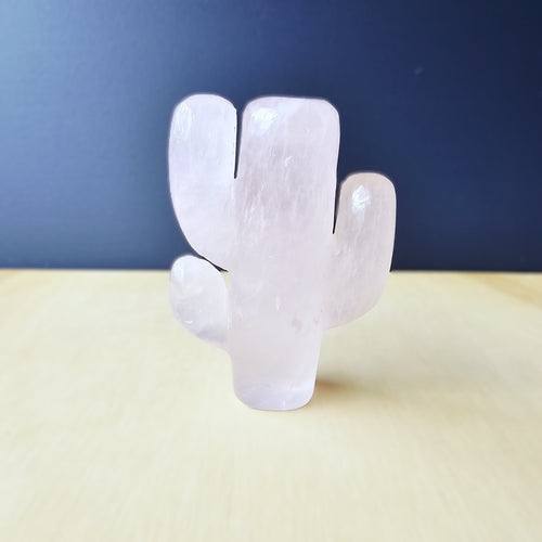 Rose Quartz | Cactus 178gms