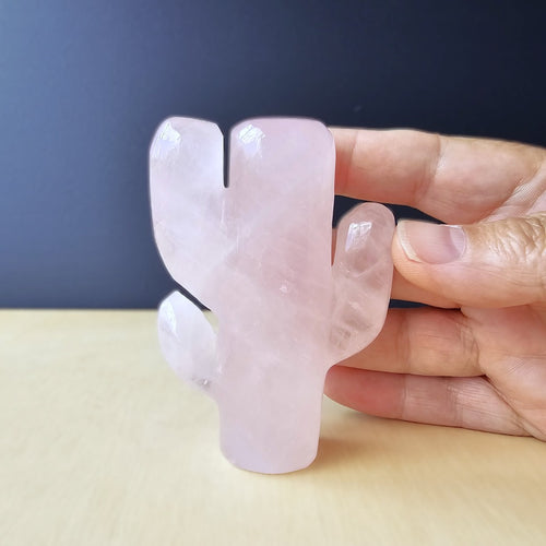 Rose Quartz | Cactus 179gms
