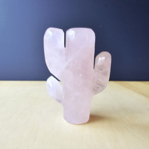 Rose Quartz | Cactus 179gms
