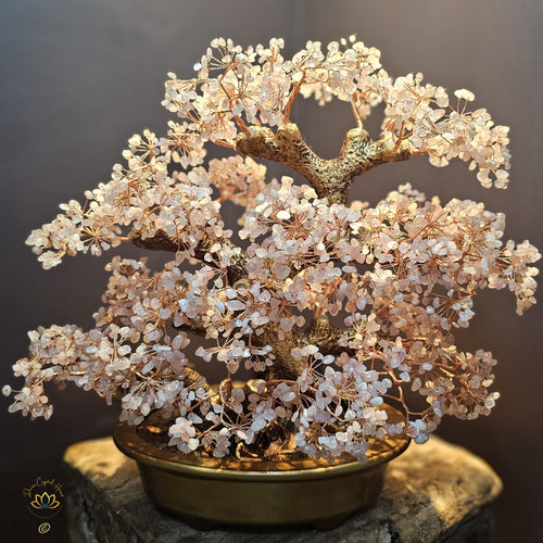 Rose Quartz Crystal Bonsai | Love