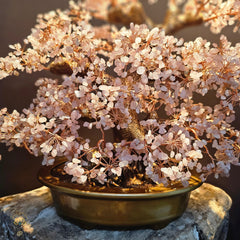Rose Quartz Crystal Bonsai | Love