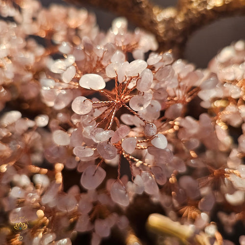 Rose Quartz Crystal Bonsai | Love