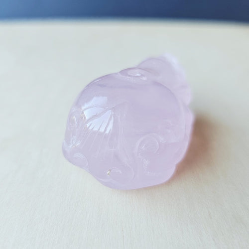 Rose Quartz Pixius | Soft Yet Powerful Protectors
