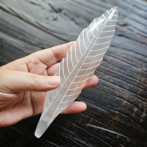 Selenite Feathers | Angel Communication