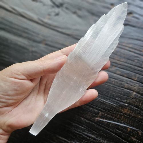 Selenite Feathers | Angel Communication