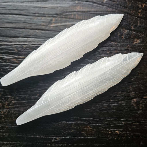 Selenite Feathers | Angel Communication