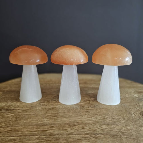 Selenite Mushroom | Mystic Ember