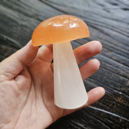 Selenite Mushroom | Mystic Ember