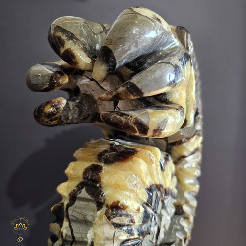 Septarian | Ammonite Carving 9.5kgs