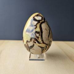 Septarian | Egg 1.55kgs