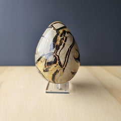 Septarian | Egg 1.55kgs