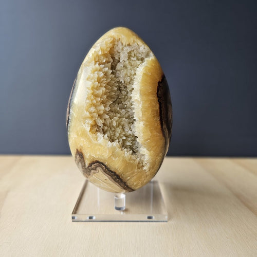 Septarian | Egg 1.9kgs