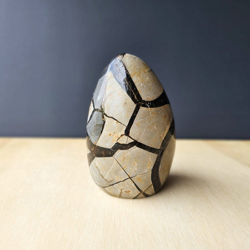 Septarian | Freeform 622gms
