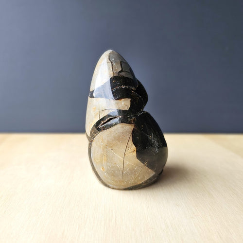 Septarian | Freeform 622gms