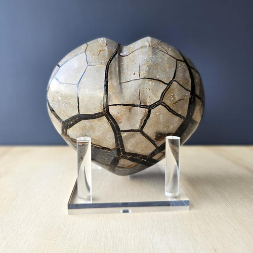 Septarian | Heart 1.29kgs