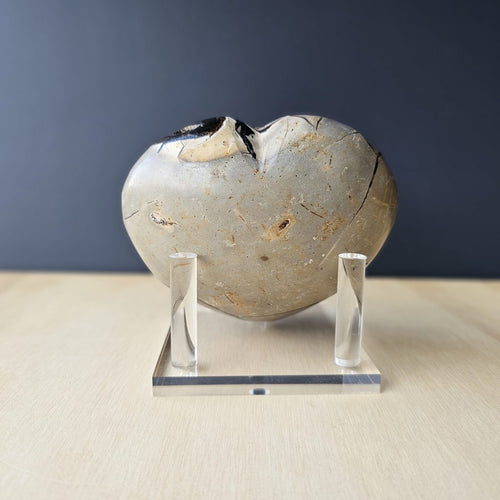 Septarian | Heart 771gms