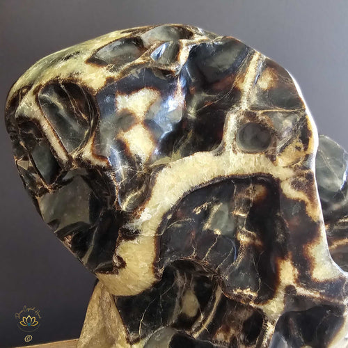 Extra Large Septarian Natural Sculpture | Artistic Symphony 21.2kgs